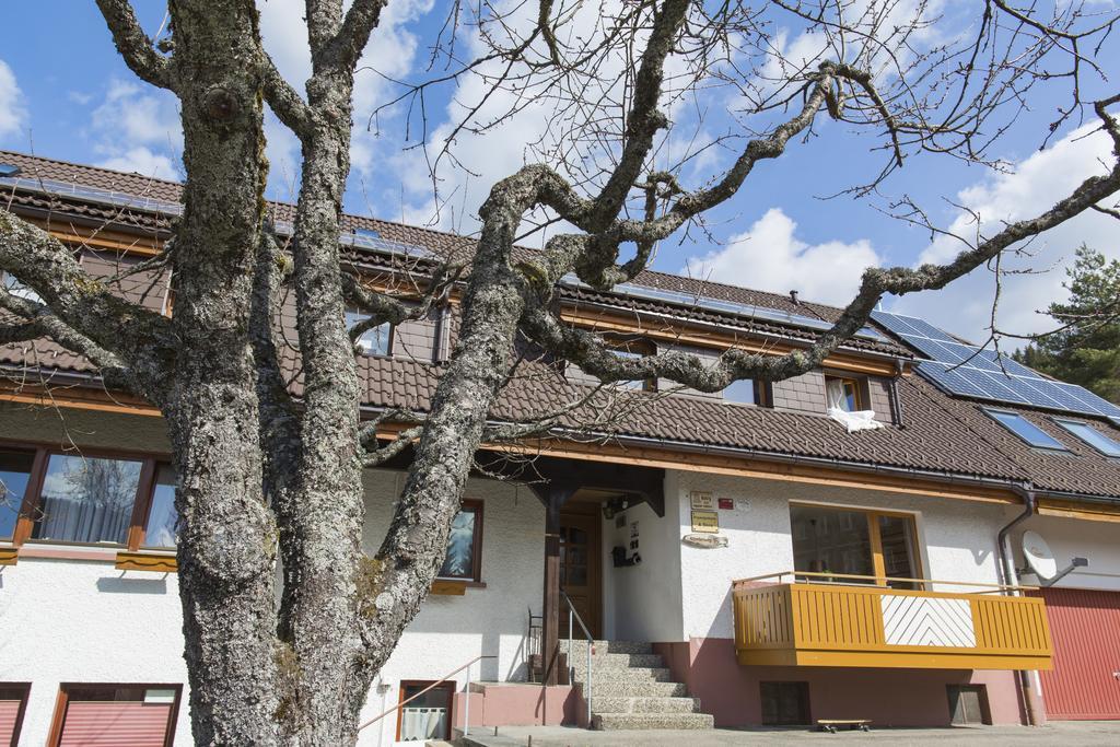 Kuckucksnester Menzenschwand  St. Blasien Exterior foto